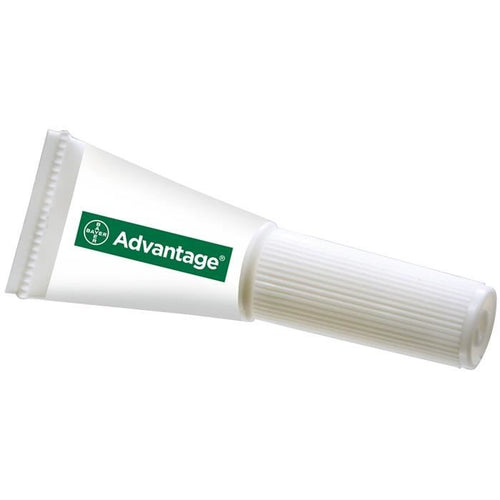 6 pipettes antiparasitaires - Pour chat et lapin de moins de 4kg Advantage 40