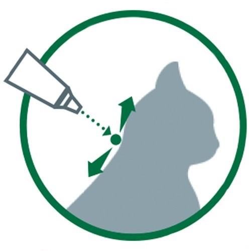 6 pipettes antiparasitaires - Pour chat et lapin de moins de 4kg Advantage 40