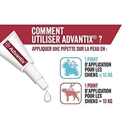 Pour chien moyen de 10 a 25kg Advantix 4 Pipettes Antiparasitaires