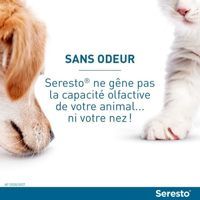 Seresto Chien Collier Anti-Puces et Anti-Tiques -8kg 2 unités