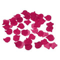 DIABLO PICANTE - 100 PÉTALES DE FUCHSIA