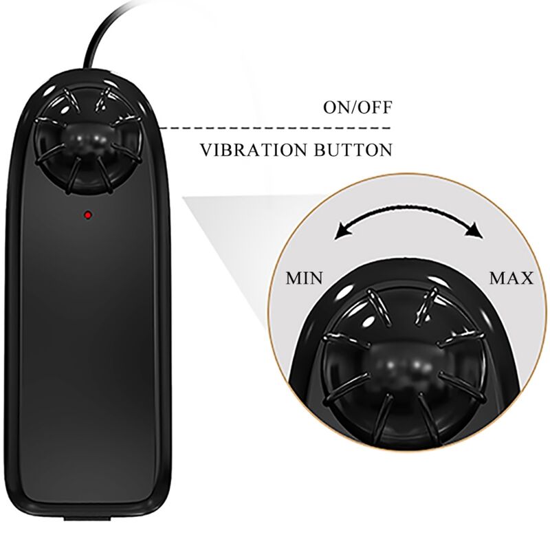 CRAZY BULL - VIBRATEUR KYLIE ASS AVEC TÉLÉCOMMANDE RÉALISTE VAGIN ET ANUS