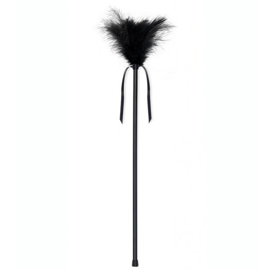 SECRETPLAY - PLUMES NOIRES 40 CM